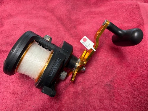 Daiwa saltist h - saltist, bg