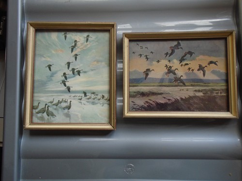 Peter scott matching pair - matching, of