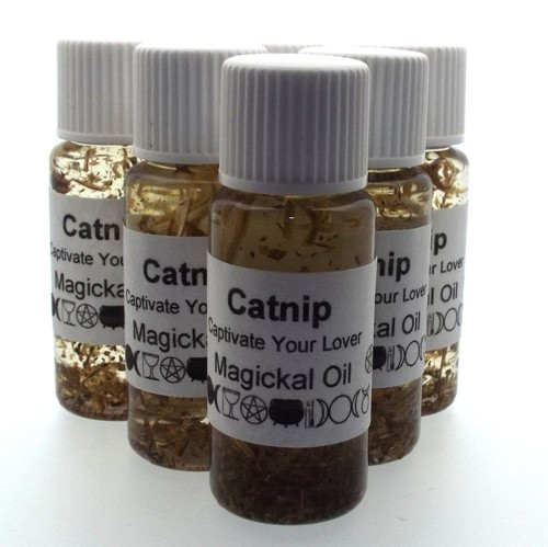 Catnip herbal magickal - catnip,