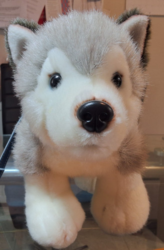 Keel toys standing husky - standing,