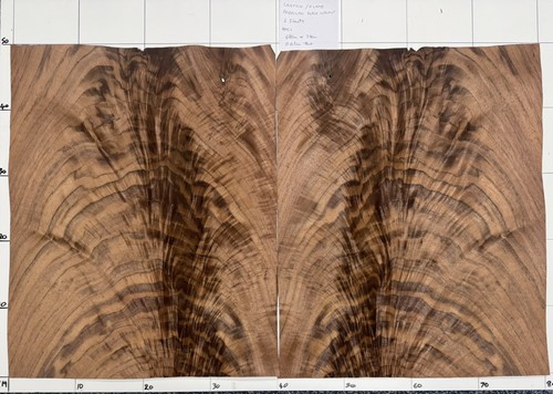 American walnut crotch - american, flame