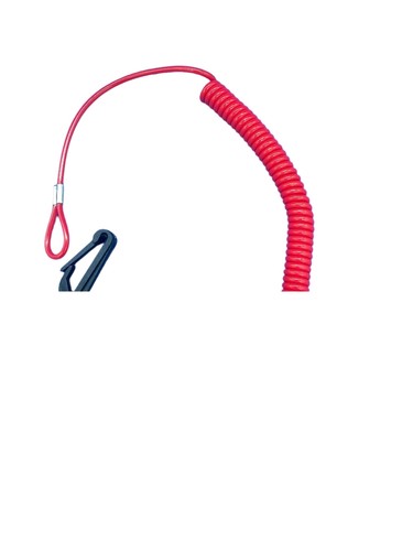 Emergency lanyard kill - lanyard, cord