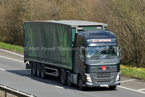 Truck photo 12x8 - 12x8,