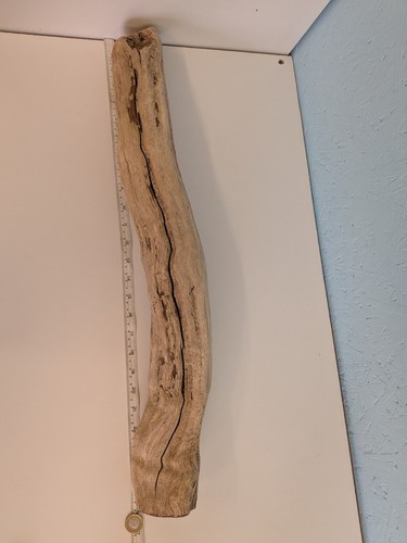 4981 long driftwood - driftwood, piece