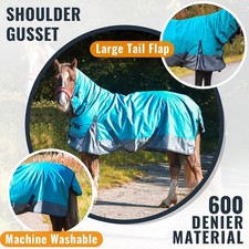 Outdoor Winter Turnout Horse