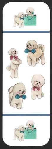 Bichon frise dog beautiful - frise,