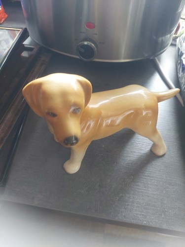 Vintage labrador retriever dog - labrador,