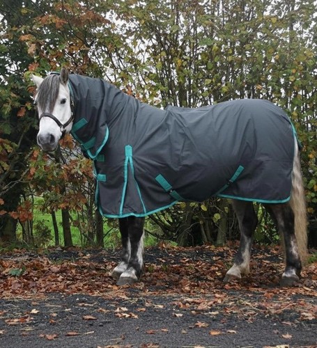 Turnout rug 100g mediumweight - rug,