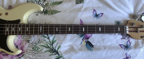 Yamaha bb2024x owned by nick - -,