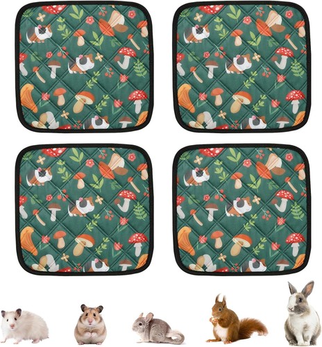 Pack washable guinea pig - washable,