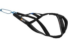 Non-stop Dog Sledding