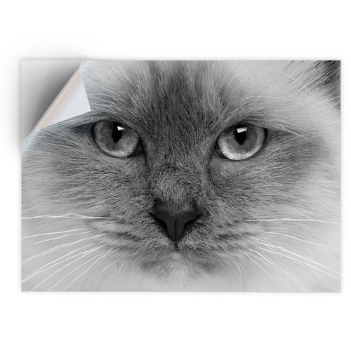 Vinyl sticker bw - -,