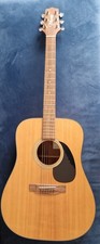Takamine G Series Acoustic