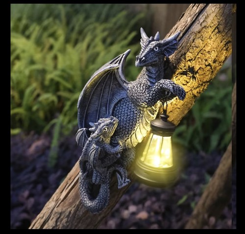Large dragon tree - large, solar