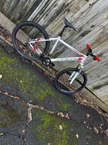 Mountain bike - mountain,