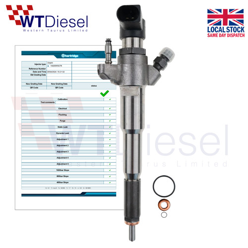 Opel renault nissan injector - opel,