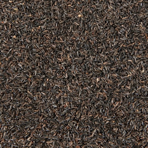Niger seed premium nijer nyjer - niger,