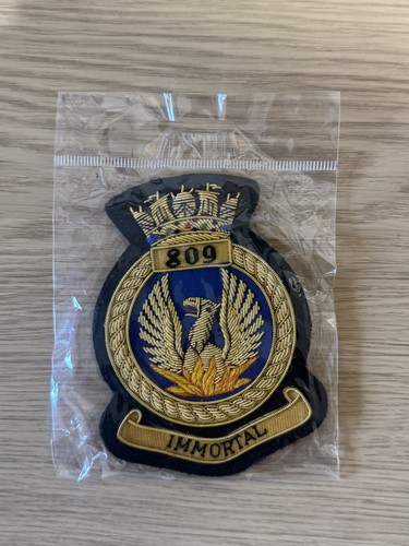 809 naval air squadron gold - naval,