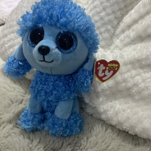 Beanie boo mandy poodle - boo’s,