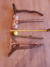 Various Blackthorn, Hazel