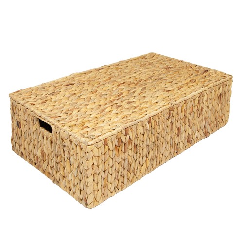 Water hyacinth under bed - water,