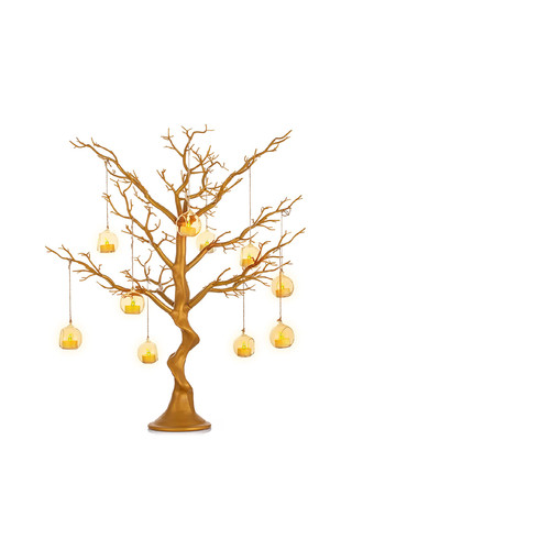 Nuptio tree branch - tree,