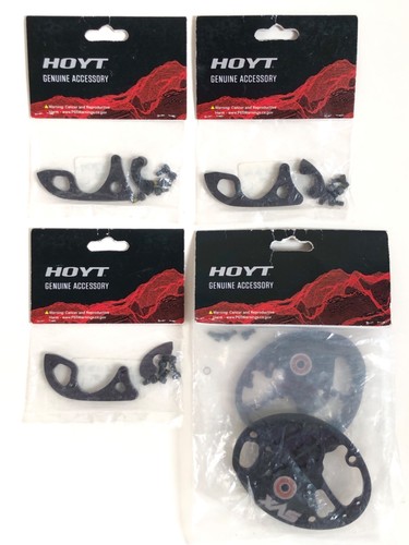 Hoyt modules and - modules, cams