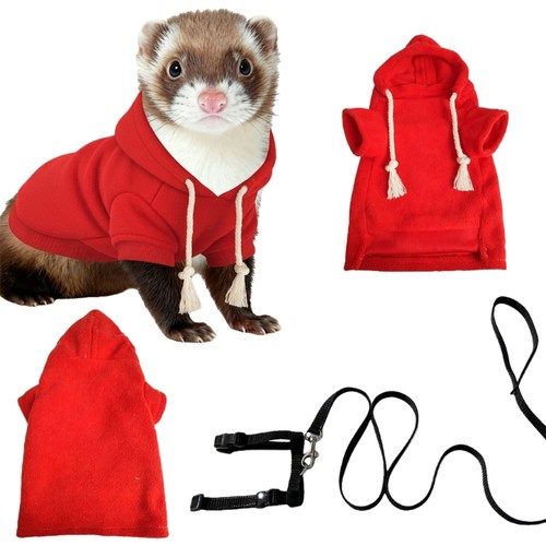 Ferrets outfit comfortable - ferrets,