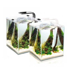 Aquael Shrimp Set Nano