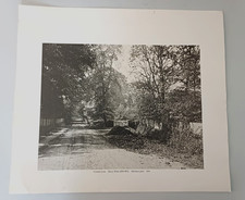 'Country Lane' Henry White (1819 -1903) Albumen print 1856 - print circa 1975