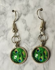 Peacock Feather Design