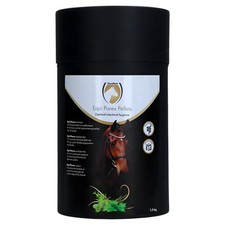 Excellent Horse Parex for