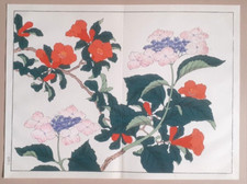 SAKAI HOITSU HYDRANGEA PEONY