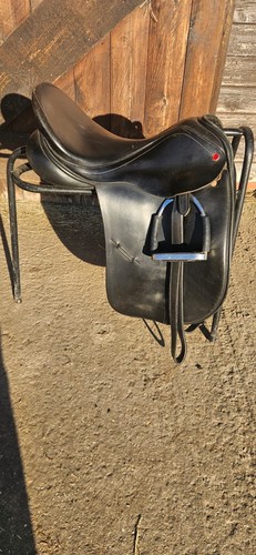 Albion mw dressage - mw,