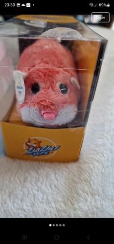 Zhu pets hamster with - pets,