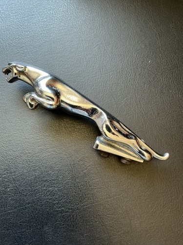 Vintage jaguar mascot - mascot,
