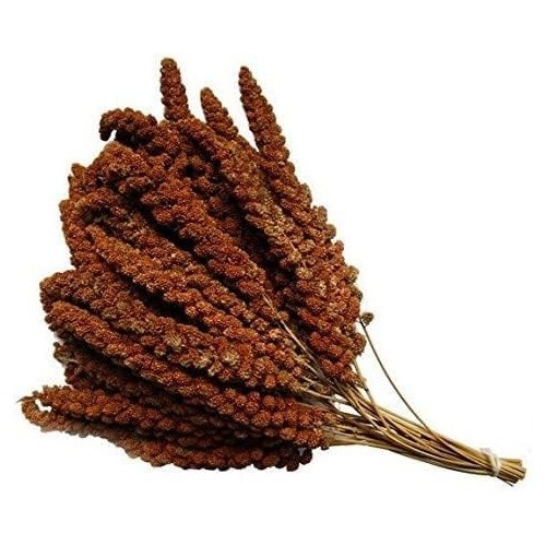 Large natural red millet - red,