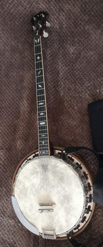 Vintage plectrum banjo - vintage,