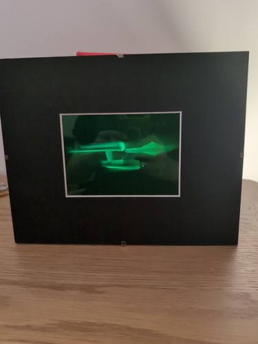 Vinted official hologram - official,