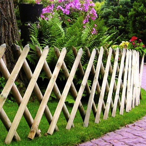 Primrose expandable garden - primrose,