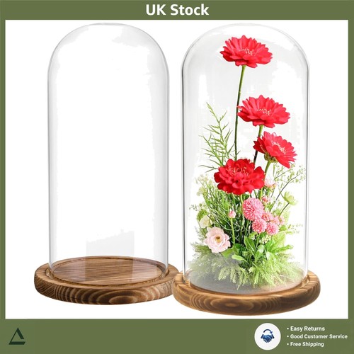 Elegant clear glass cloche - elegant,