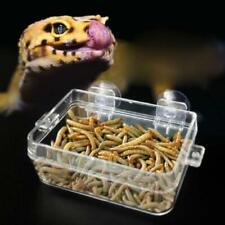 Reptile Feeder Anti-escape Food Bowl Turtle Lizard Worm Live Food Container