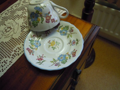 Vtg spode sylvan - spode, **sylvan