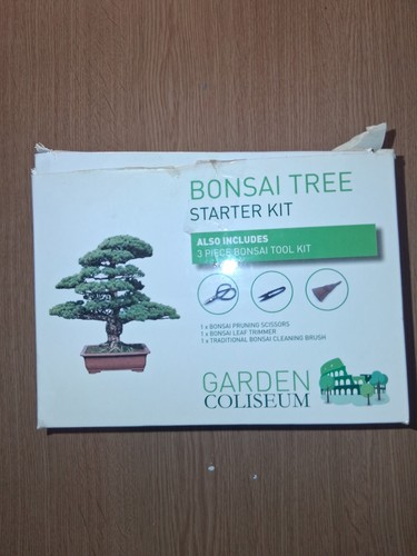 Garden coliseum bonsai - garden,