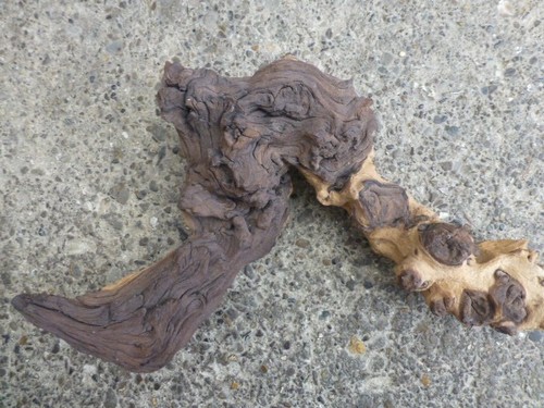 Aquarium terrarium bog wood - aquarium/terrarium,