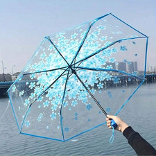 Cute Clear Foldable Umbrella