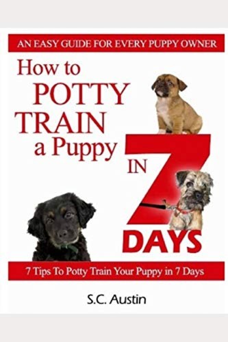 How potty train puppy - potty, in