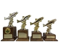 Personalised Trout Angling Fishing Trophy Award In 4 Sizes Any Text Engraved