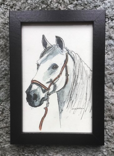White horse head - white,