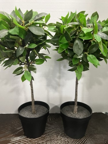 Ikea fejka artificial - artificial, potted